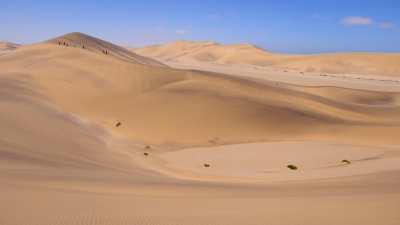 Namib Wüste Namibia (Alexander Mirschel)  Copyright 
Informations sur les licences disponibles sous 'Preuve des sources d'images'